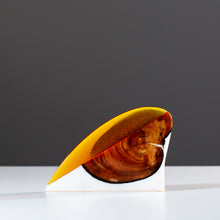 Load image into Gallery viewer, RNP x RL Foil #12 - Enter to Win