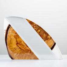 Load image into Gallery viewer, RNP x RL Foil #14
