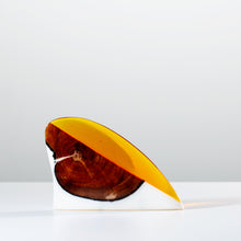 Load image into Gallery viewer, RNP x RL Foil #12 - Enter to Win

