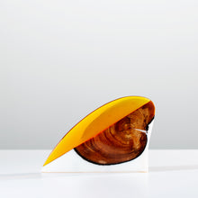 Load image into Gallery viewer, RNP x RL Foil #12 - Enter to Win
