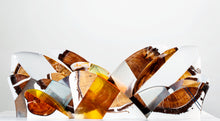 Load image into Gallery viewer, RNP x RL Foil #10
